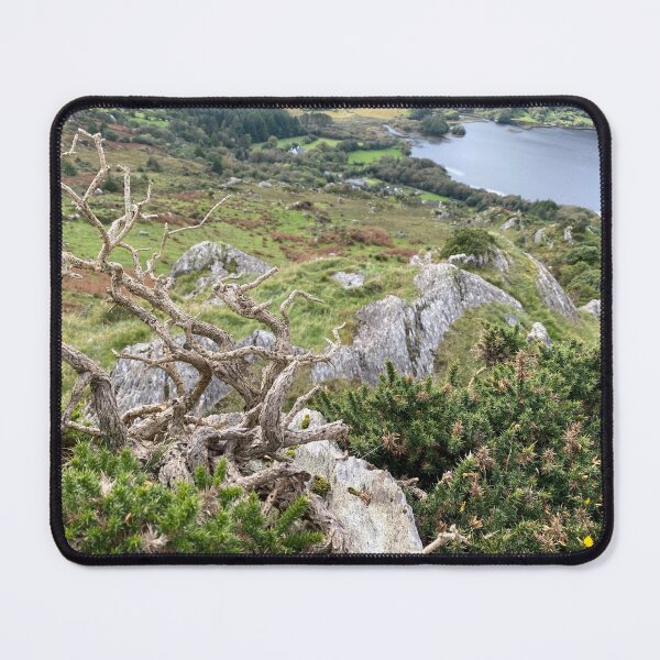 Item preview, Gnarled Tree above Glanmore Lake designed and sold by Sinemathk.