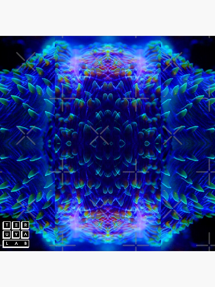 Thumbnail 3 of 3, Sticker, Coral Neon Purple Plate LPS Reef Aquarium designed and sold by teruyalab.