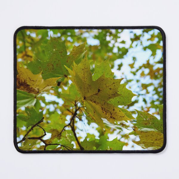 Item preview, Not all are Canadians anyway designed and sold by Jouko Lehto Photography.