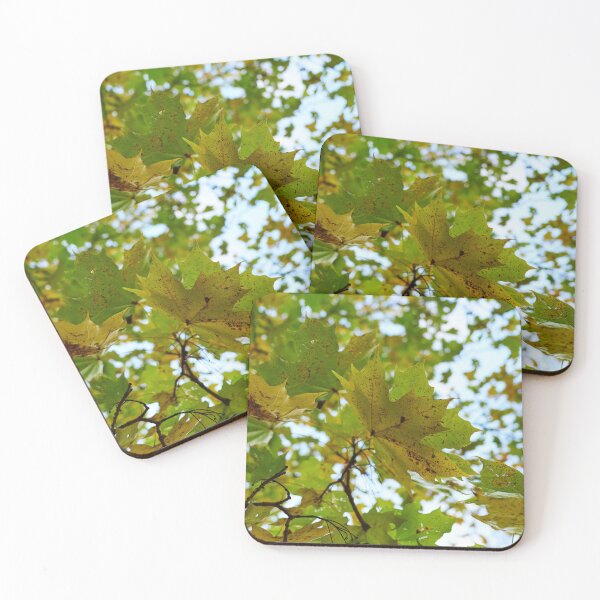 Item preview, Not all are Canadians anyway designed and sold by Jouko Lehto Photography.