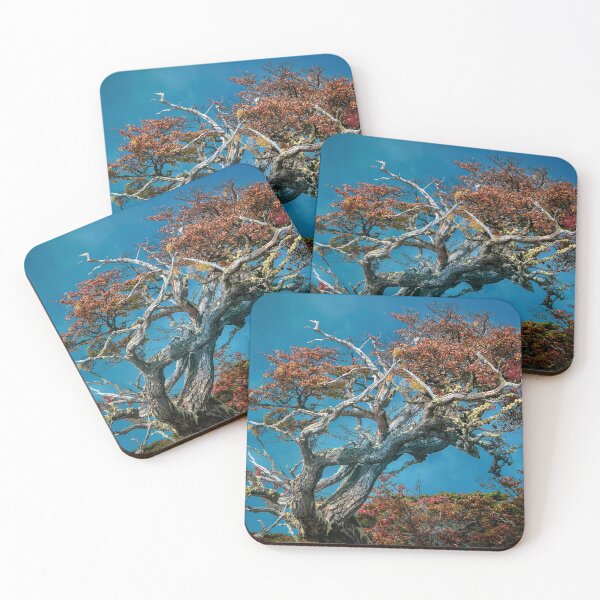 Item preview, Botanical Wonders of Argentina designed and sold by DFLC Prints.