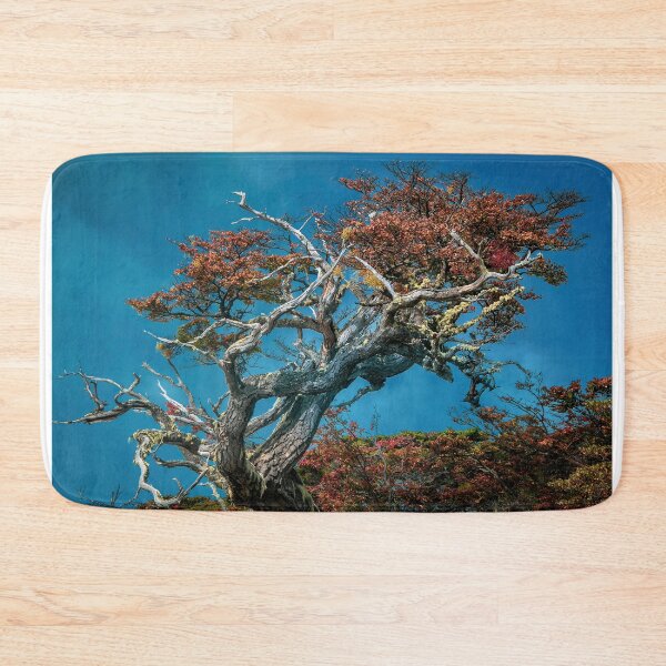 Item preview, Botanical Wonders of Argentina designed and sold by DFLC Prints.