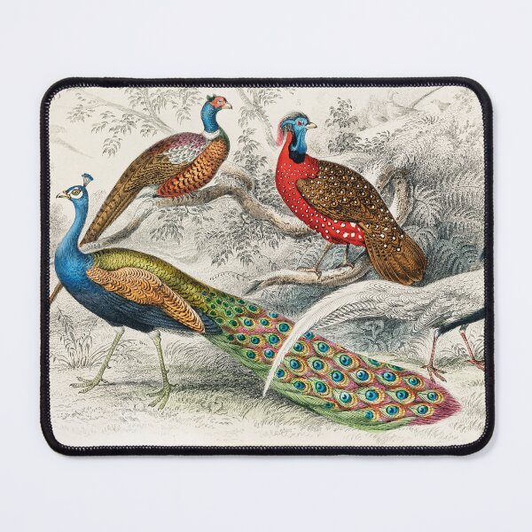 Item preview, Peacock And Pheasants Old 1852 Litho Print designed and sold by Suzana Djordjevic.