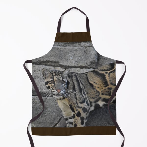 Item preview, Clouded Leopard designed and sold by Sharon the Zoo Lady Photography .