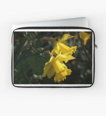 Daffodils announcing spring. Laptop Sleeve