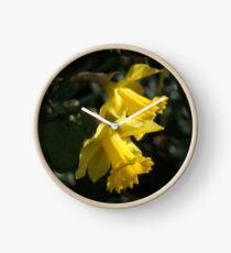 Daffodils announcing spring. Clock