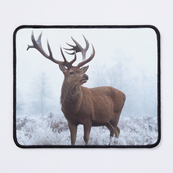 Item preview, Monarch in field of frost '23 designed and sold by Junkyardmax.
