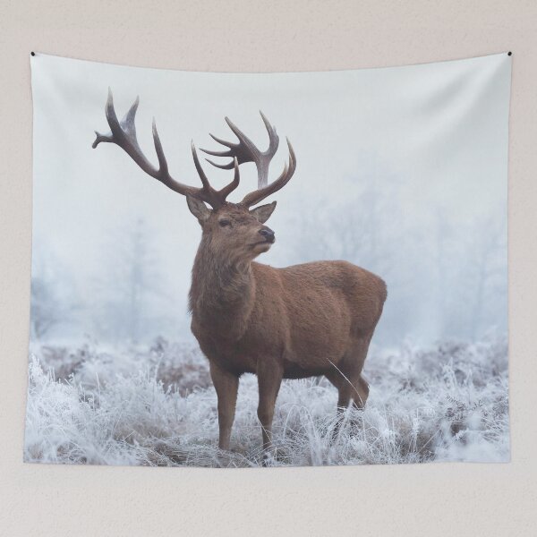 Item preview, Monarch in field of frost '23 designed and sold by Junkyardmax.