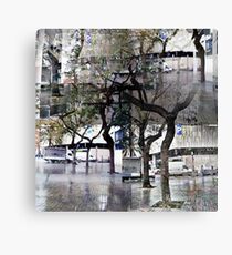 CAM02179-CAM02182_GIMP_B Canvas Print