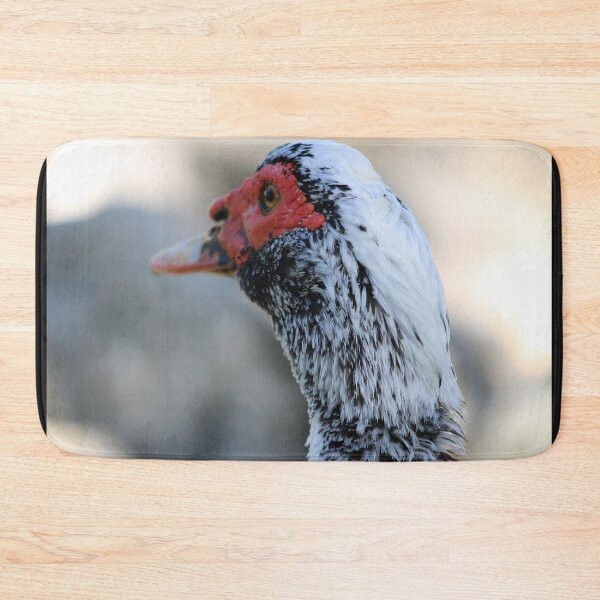 Item preview, Duck up Close  designed and sold by Evelynsphoto.