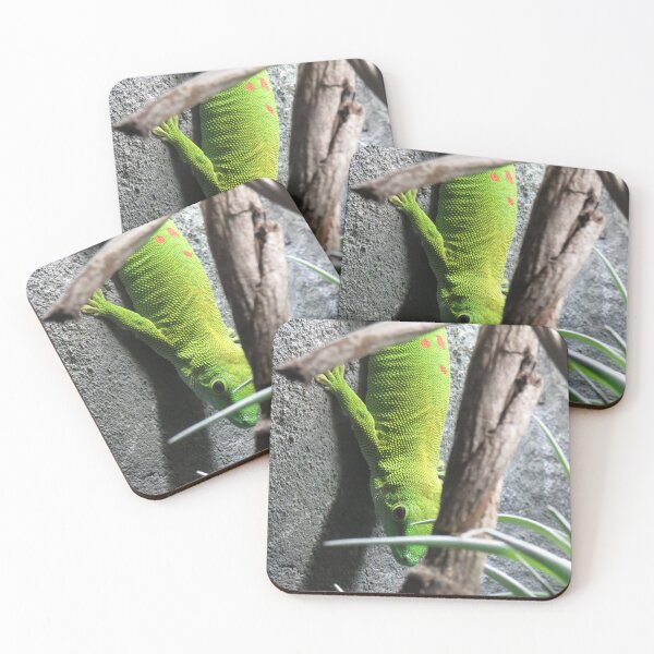 Item preview, Madagascar giant day gecko up close designed and sold by greentiger1.