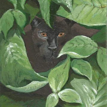 Imagen de la obra Black Panther in the Jungle (green, black) de Ann Kronick