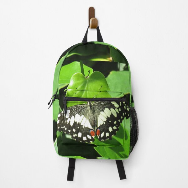 Item preview, Chequered swallowtail butterfly designed and sold by greentiger1.