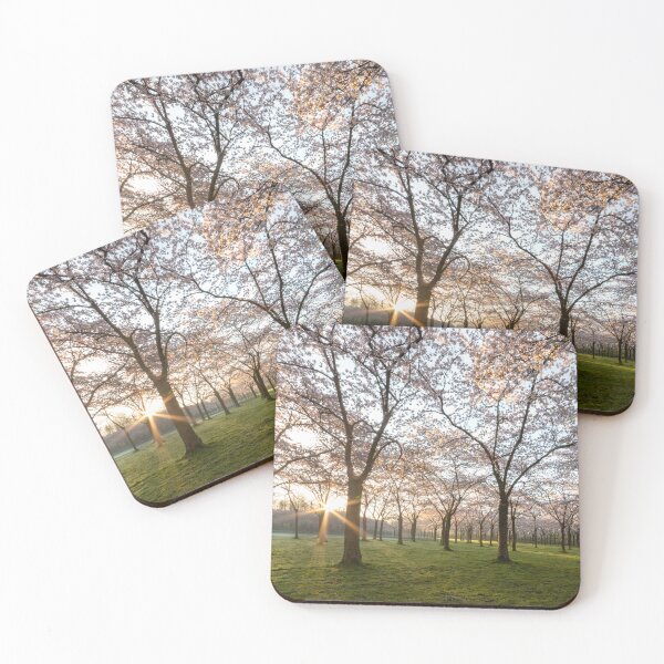 Item preview, Blossoming Dawn - Sunrise Over Cherry Blossom Splendor designed and sold by InbalTurShalom.