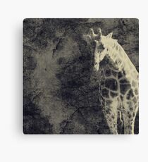 ...the Vast Expanses of the Earth Canvas Print