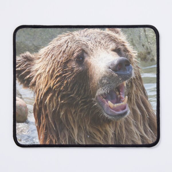 Item preview, Grizzly Bear canvas,Grizzly Bear,animal, animals,Grizzly Bear wall art,Grizzly Bear artwork,Grizzly Bears,wild,Grizzly Bear art,Grizzly Bear painting designed and sold by eyesight4vision.