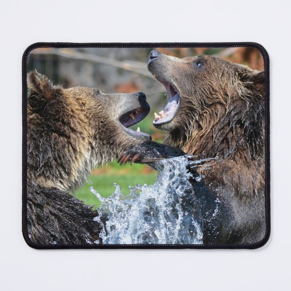 Item preview,  Grizzly Bear canvas,Grizzly Bear,animal, animals,Grizzly Bear wall art,Grizzly Bear artwork,Grizzly Bears,wild,Grizzly Bear art,Grizzly Bear painting designed and sold by eyesight4vision.