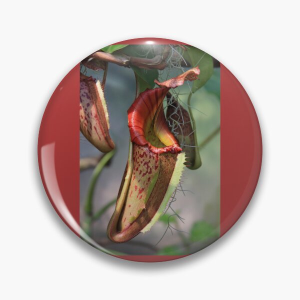 Item preview, Insect Eating Plant designed and sold by CarolM.