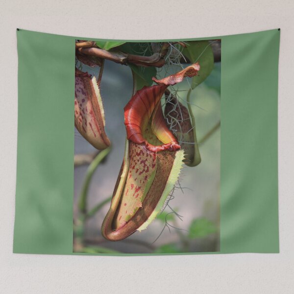 Item preview, Insect Eating Plant designed and sold by CarolM.