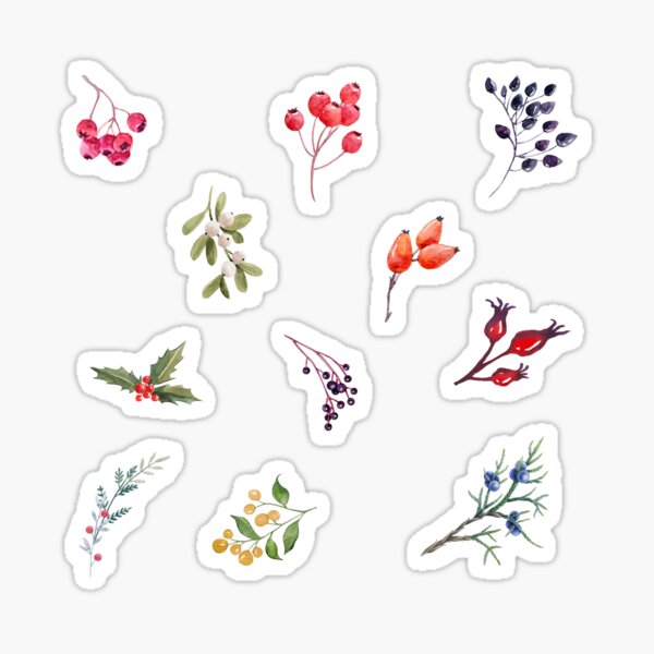 Artikel-Vorschau von Aquarell wilde Waldbeeren, designt und verkauft von silviaol.