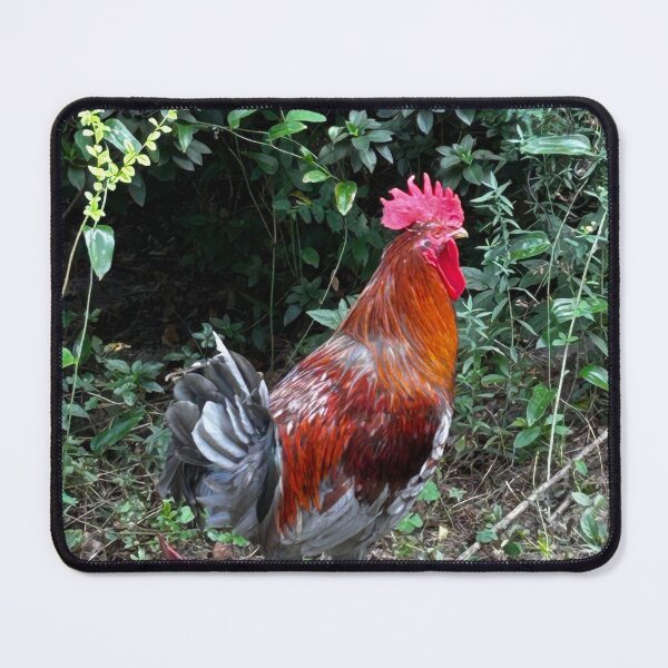 Item preview, The Roosters crow designed and sold by Pearls1.
