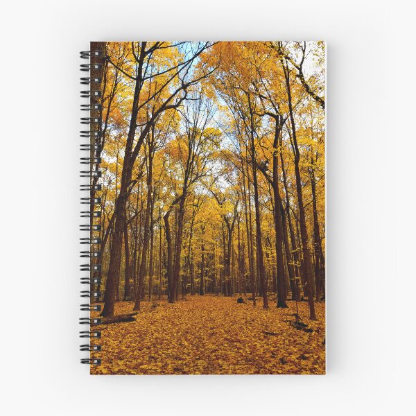 Item preview, Golden Fall Forest designed and sold by bjtomiko.