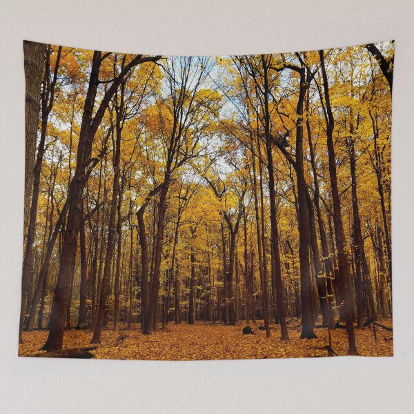 Item preview, Golden Fall Forest designed and sold by bjtomiko.