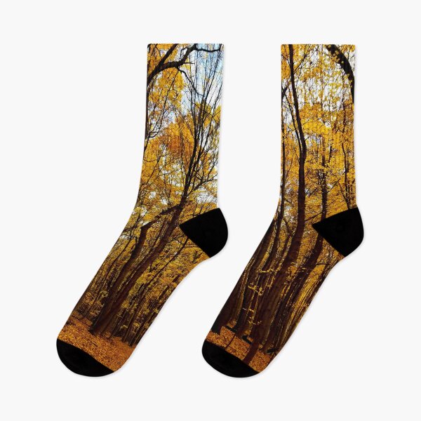 Item preview, Golden Fall Forest designed and sold by bjtomiko.