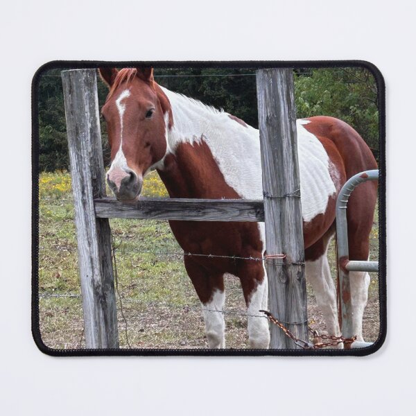 Item preview, The spot of the horse designed and sold by Pearls1.