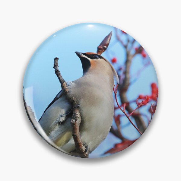 Item preview, Cedar Waxwing designed and sold by Dorothy Thomson.