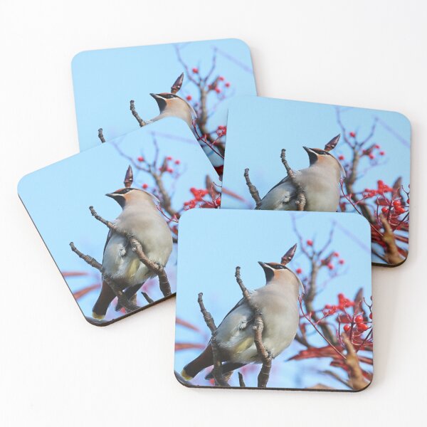 Item preview, Cedar Waxwing designed and sold by Dorothy Thomson.
