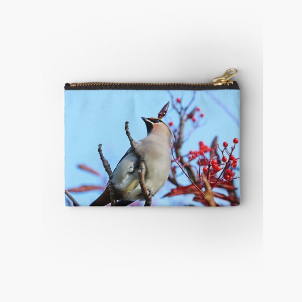 Item preview, Cedar Waxwing designed and sold by Dorothy Thomson.
