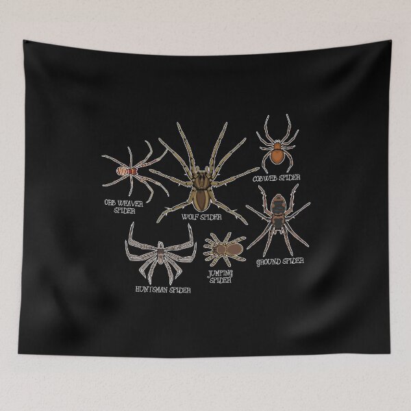 Item preview, Spider Species Tarantula Arachnid Gifts Spider designed and sold by DSWShirts.