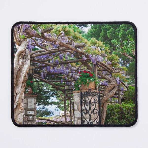 Item preview, Wisteria Arch designed and sold by jesshebert.
