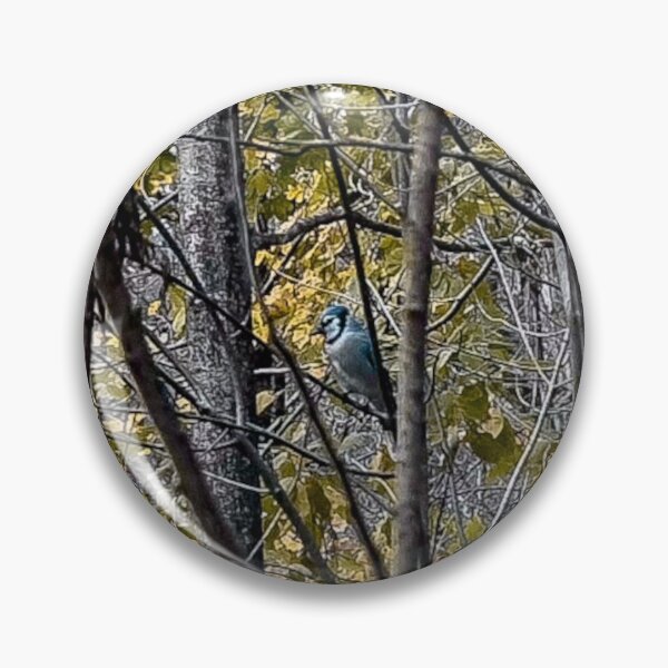 Artikelvorschau, Ein November-Bluejay entworfen und verkauft von SRosuphotos.