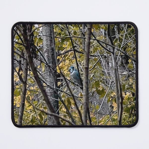Item preview, A November Bluejay designed and sold by SRosuphotos.