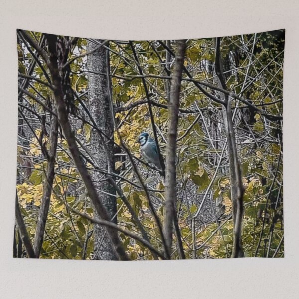 Item preview, A November Bluejay designed and sold by SRosuphotos.
