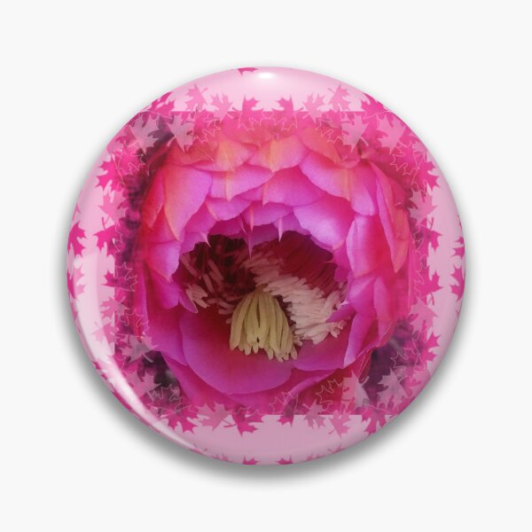 Artikelvorschau, Rosa Kaktusblüte von Iritof entworfen und verkauft von iritof.