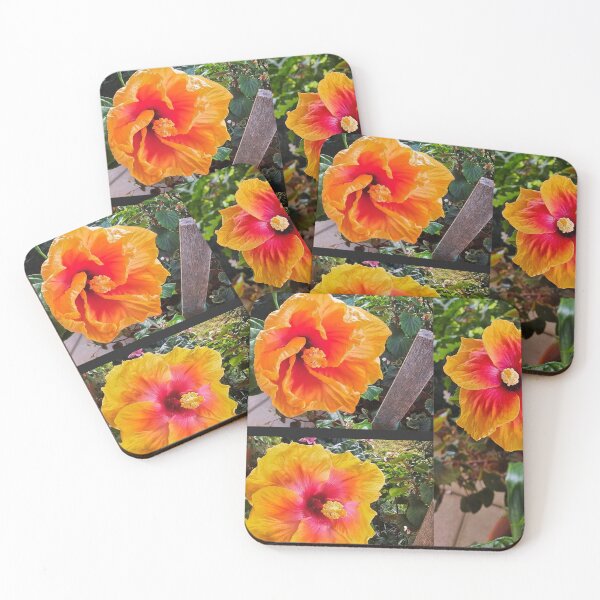 Item preview, Hibiscus collage designed and sold by PhotosByG.