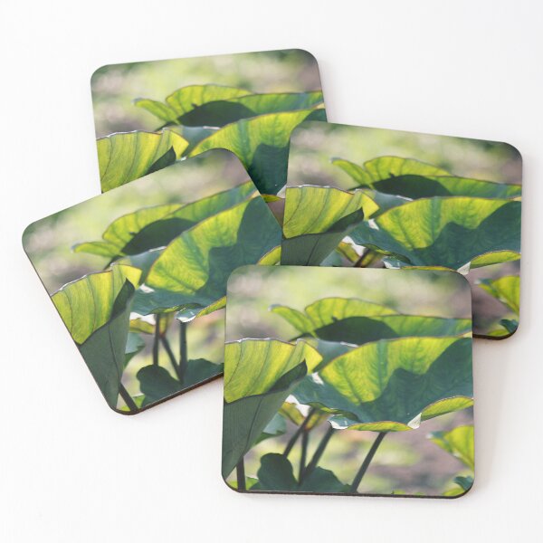 Item preview, Cups & Saucers  designed and sold by photoclique.