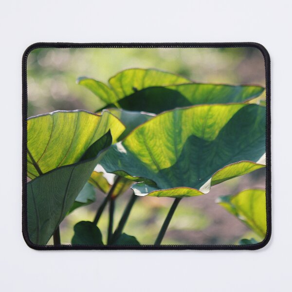 Item preview, Cups & Saucers  designed and sold by photoclique.