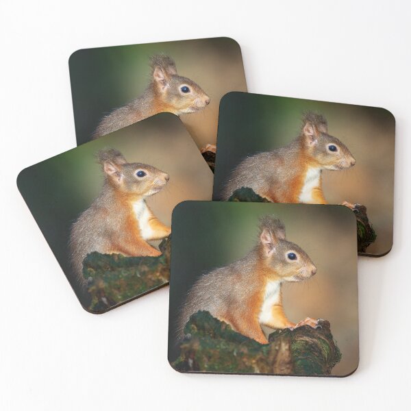 Item preview, Red Squirrel portrait designed and sold by Steve Miller.