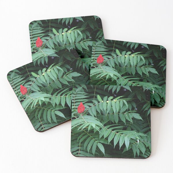 Item preview, Wild Staghorn Sumac  designed and sold by photoclique.