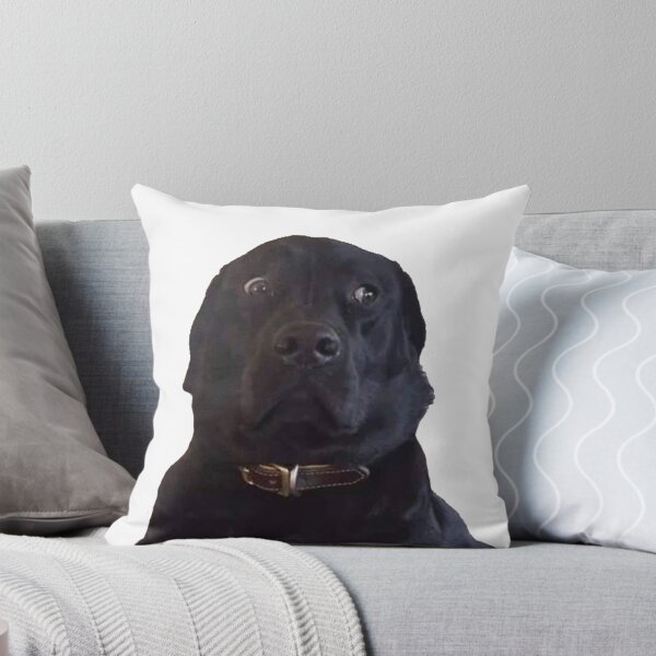Item preview, BLACK LABRADOR STARE DOGGO MEME designed and sold by SHARMO.
