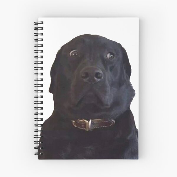 Item preview, BLACK LABRADOR STARE DOGGO MEME designed and sold by SHARMO.