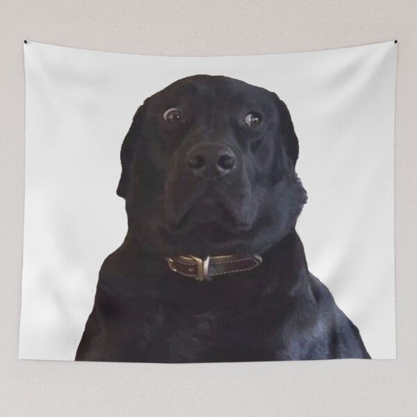 Item preview, BLACK LABRADOR STARE DOGGO MEME designed and sold by SHARMO.