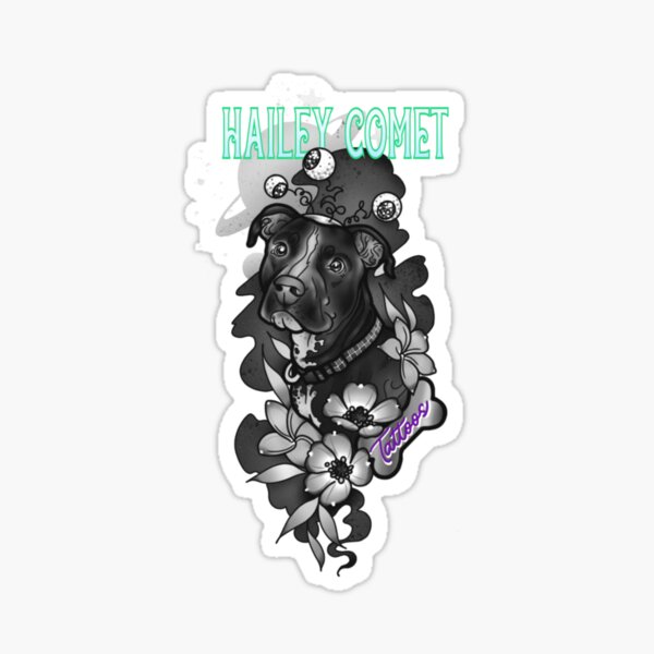 Hailey Comet 02 Sticker