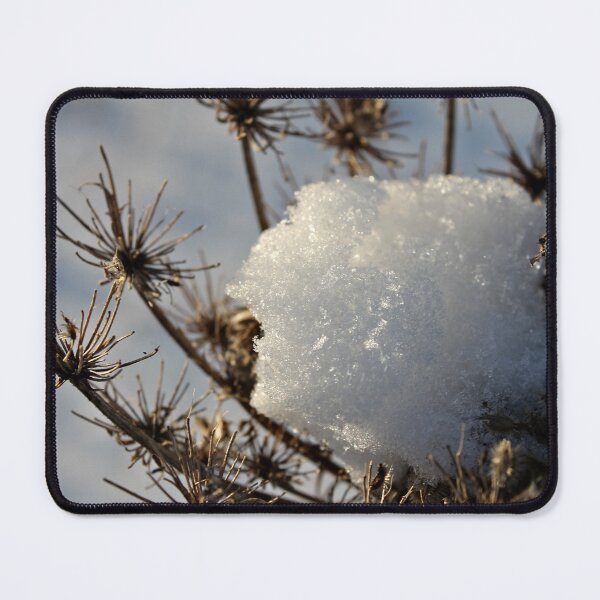 Item preview, Snow Cone designed and sold by photoclique.