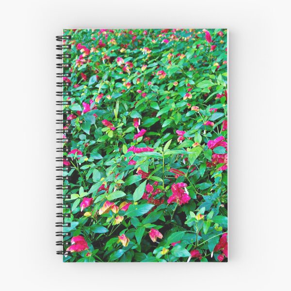 Artikelvorschau, Shrimp Plants en masse  entworfen und verkauft von Robert Meyers-Lussier.