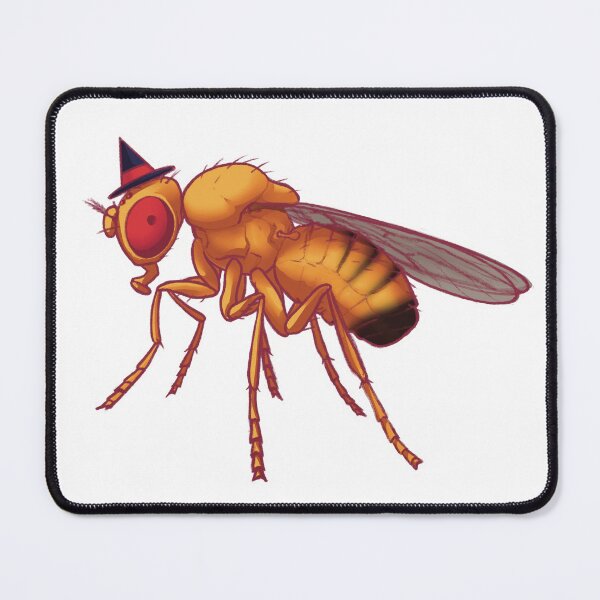 Item preview, Fruit Fly Witch designed and sold by DannyFly.